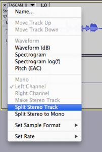 In Audacity die Stereospur splitten