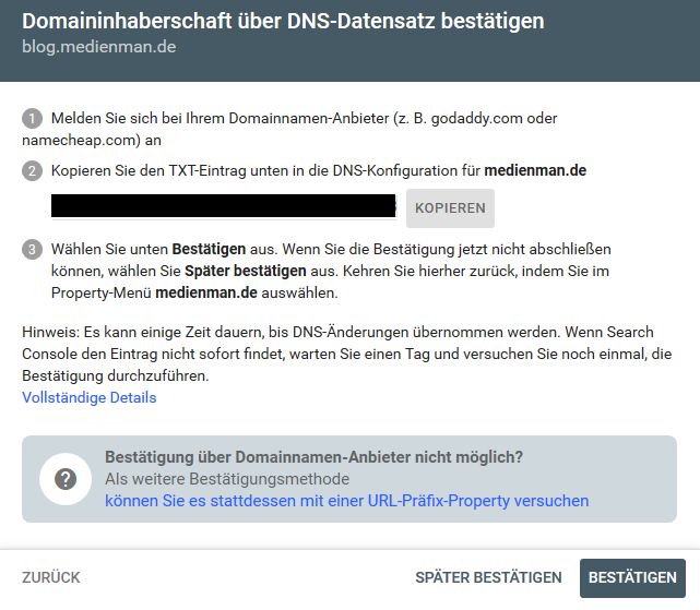 Search-Konsole: DNS-Bestätigung